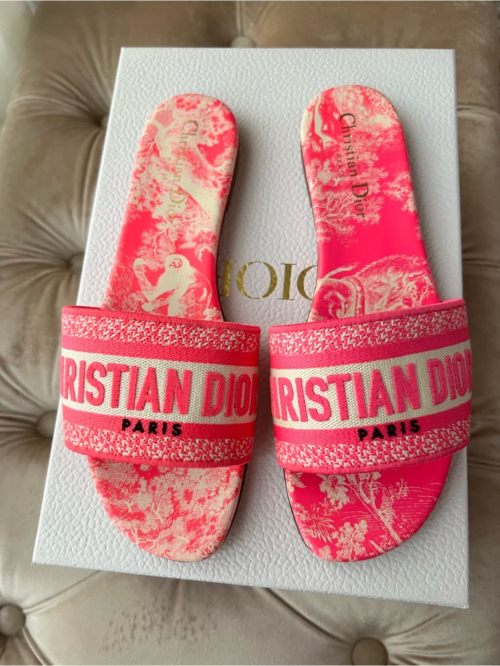 Christian Dior D Way slides